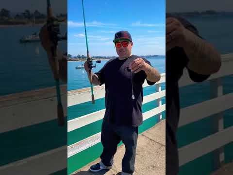 How To Catch Live Anchovies And Squid At The Santa Cruz Pier On A Sabiki Rig
