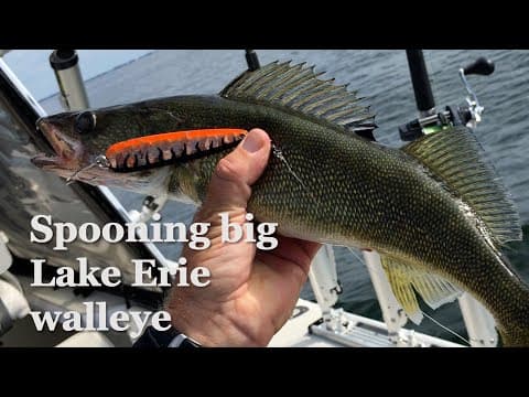 Trolling spoons for Lake Erie walleye