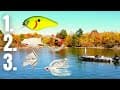 The #1 BASS LURES For FALL (Fall Bass Fishing Tips)