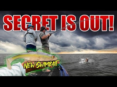 This NEW Swimbait Catches GIANT BASS!
