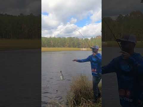 Muddy water after rain try black and blue🔥#bassfishing