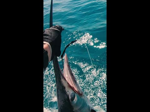 #shorts Fishing K&#39;gari (Fraser Island), Great Sandy National Park