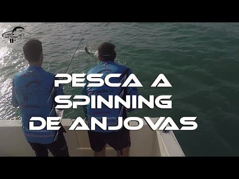 Pesca a spinning de Anjovas en supeficie