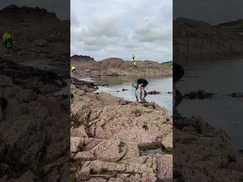 My mate got trapped by the tide while see fishing in Milford haven 🎣😂 #fishing