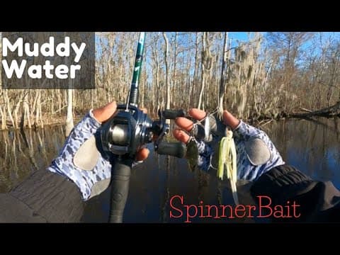 Winter Fishing- South Louisiana Bass Fishing (Lake Verret)