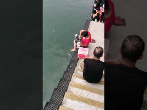 Fishing @ Stanley - Hong Kong