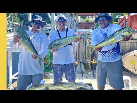 Summer Dolphin in the Florida Keys
