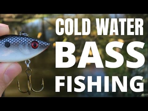 Top 3 Baits for WINTER Bass Fishing! #shorts