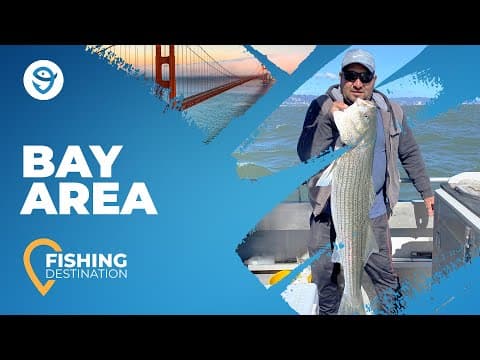 Your Complete Guide to Fishing the Bay Area