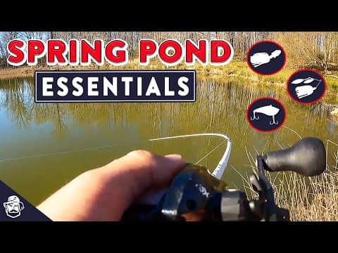 Dialing in Ponds in the Spring: Best Baits to Fish to Cover Water!