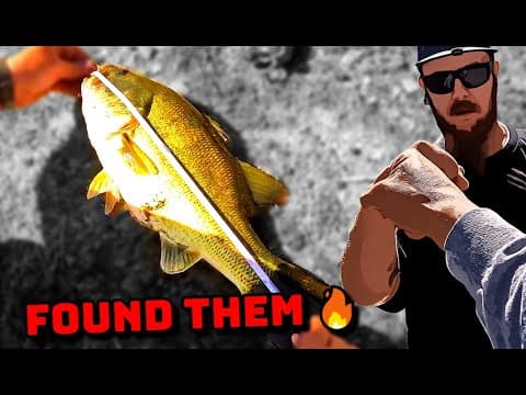 NEW SPOT CHALLENGE! (San Jose Bass Fishing)