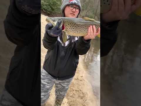 Wilson’s creek NC trout fishing
