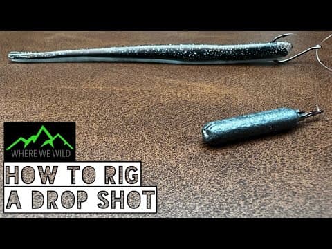 How to rig a DROP SHOT - Tutorial, Tips &amp; Tricks