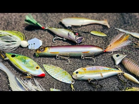 How To Catch Shallow Bass RIGHT NOW! Shad Spawn Fishing Tips!