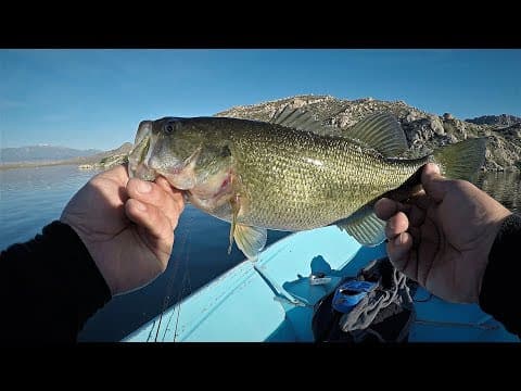 Winter Bass Fishing in Southern California! (1st West Coast Bass on Lake Perris)