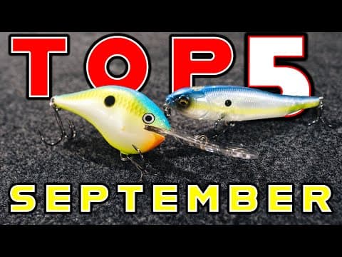 Top 5 Baits For September Bass Fishing!