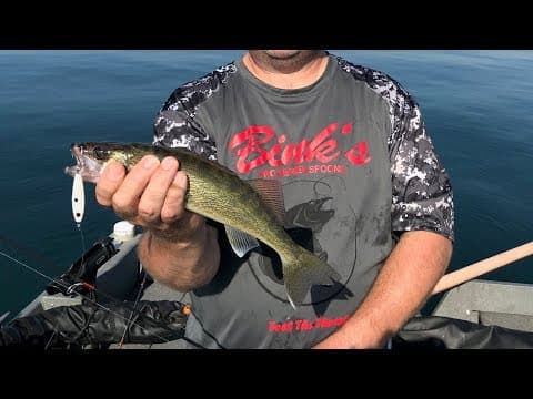 Dog Days Walleye at Bull Shoals / Bink&#39;s Spoons