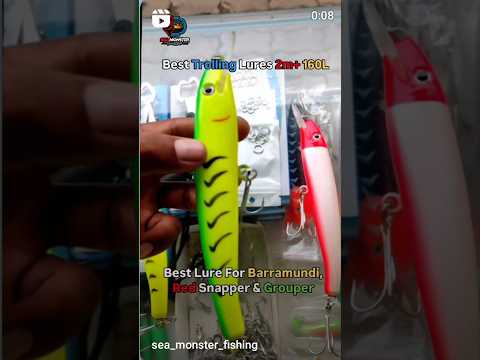 Best lure for snapper, grouper, barramundi, king fish barracuda #barracudafish #baitfishing #fishing