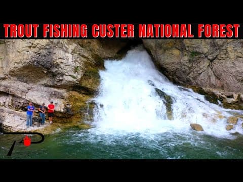 Trout Fishing Montana&#39;s Custer National Forest