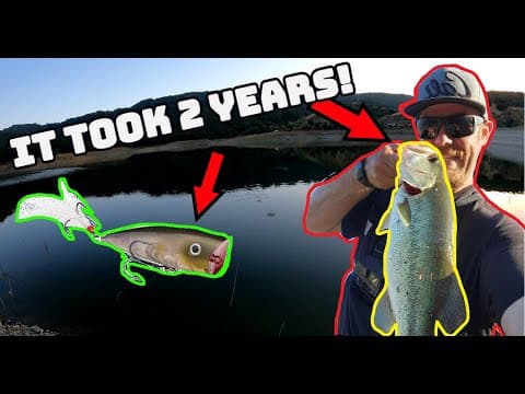 Finally! Topwater Bass (Fishing Stevens Creek Reservoir)