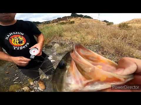 Quick trip to Calero Reservoir
