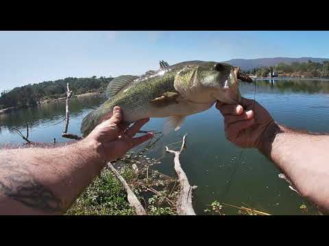 San Jose CA bass fishing almaden lake,perc pond,calero lake