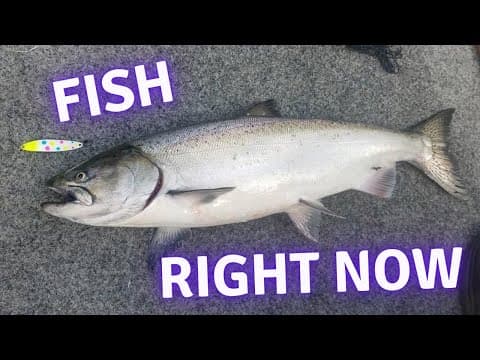 2 Simple Setups for Puget Sound Salmon | RIGHT NOW