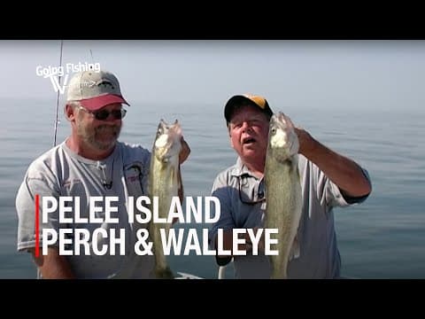 Perch &amp; Walleye Action off Pelee Island | Kingsville Ontario
