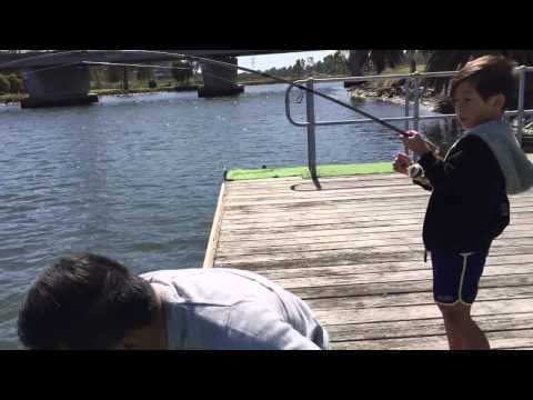 Pinky snapper in the Maribyrnong River