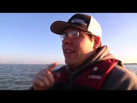 Ellsworth Sand bass