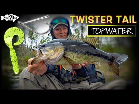 SIMPLE Curly Tail Grub SMASHES in Shallow Water Bass Fishing