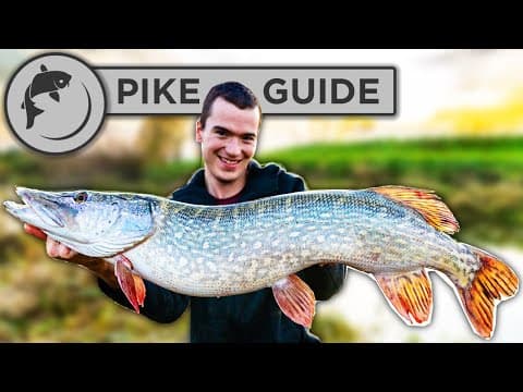 A Beginners Guide To Pike Fishing - Tactics, Bait, Lures, Rigs, and Unhooking