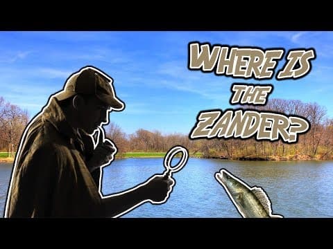 Want to Catch Zander? HERE'S HOW YOU FIND THEM!