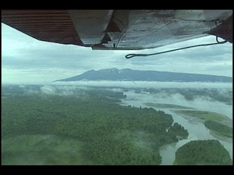 Lake Creek Alaska - Fishing with Ladin