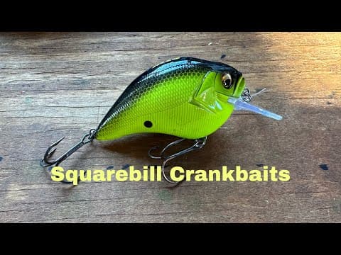 How And When To Fish A Squarebill Crankbait