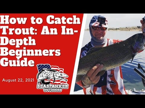 How to Catch Trout: An In-depth Beginners Guide