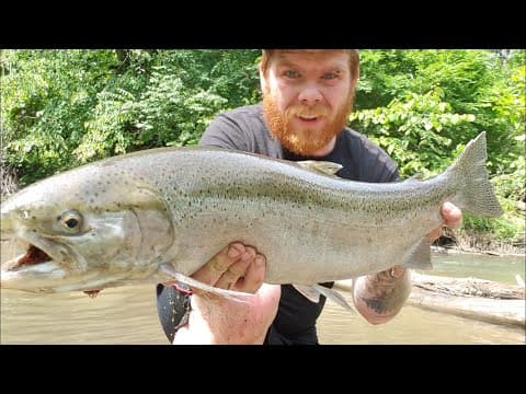 How To Fish Trail Creek For Skamania (summer steelhead ), Coho Salmon, And King salmon In Indiana!