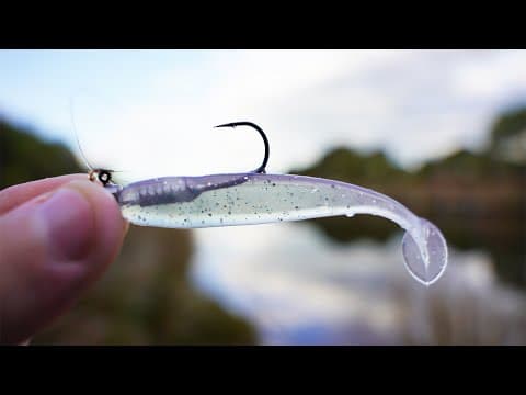 How To Start Soft Plastics Fishing (Beginners Guide)