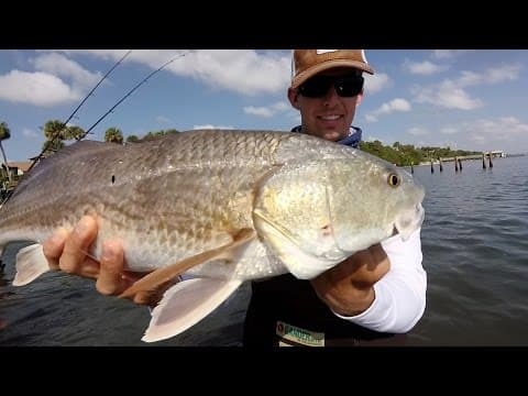 Wade Fishing for Redfish, Trout and Snook in the Indian River