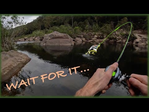 CRAZY surface bite! Australian Bass fishing