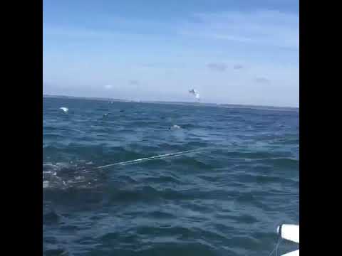 Brenton Reef Newport 9/19 Bass Raft 2
