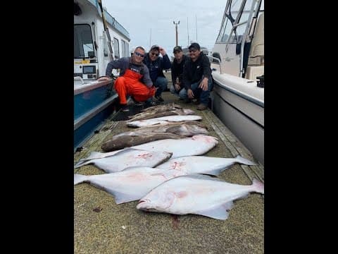 Halibut and Ling Cod Limits Westport 2021