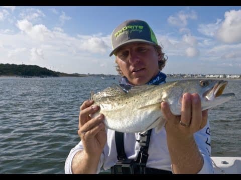 Top 5 Speckled Trout Lures + Update on the Trout Derby