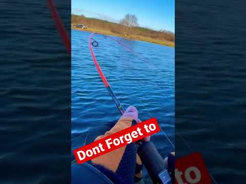 Trout fishing in Denmark