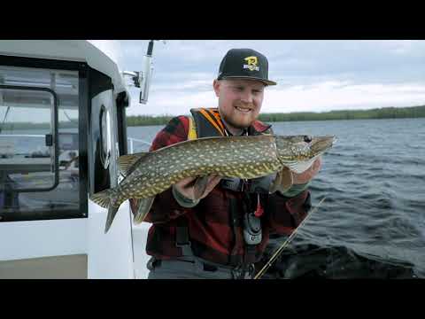 Hooked Saimaa | Fishing &amp; Outdoor Adventures | Рыболовные приключения на Сайме