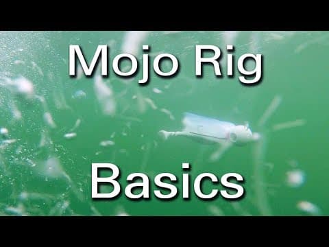 How to Troll Mojo Rigs for Striped Bass