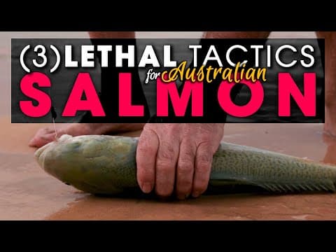 ( 3 ) LETHAL TACTICS Beach Fishing For Aussie Salmon!