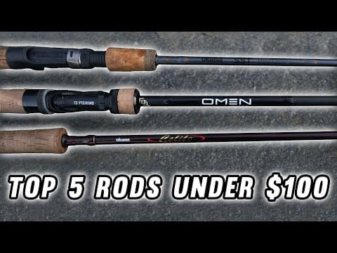 The Top 5 fishing rods under $100! 2024 Buying Guide