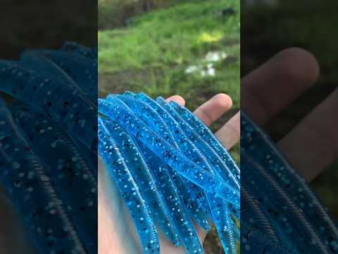 Making Baits at Home!💙#baitmaking #godfirst #bassfishing #marrking #lures #luremaking #creative