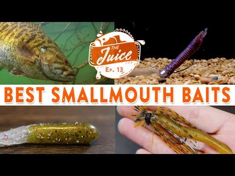 The Ultimate Smallmouth Bass Fishing Bait Guide! | The Juice Ep. 13